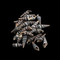 Natural Shell (50Gms) SH022