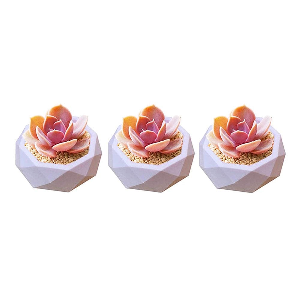 8-Corner Flower Pot & Tea Light Candle Holder Mould
