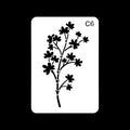 Stencil C006
