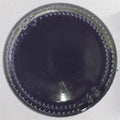 Voilet Translucent Resin Pigment 20 Gram