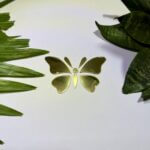 Fancy butterfly acrylic mirror 2